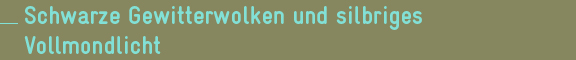 Schwarze Gewitterwolken und silbriges Vollmondlicht