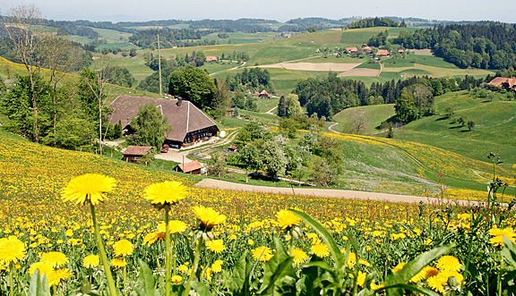 seinundwerden Eindrücke Emmental im Frühling