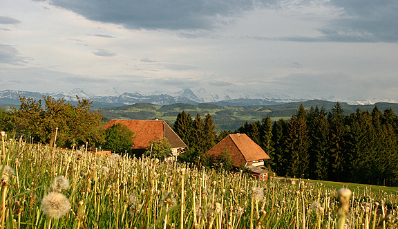 seinundwerden Eindrücke Emmental im Frühling