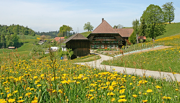 seinundwerden Eindrücke Emmental im Frühling