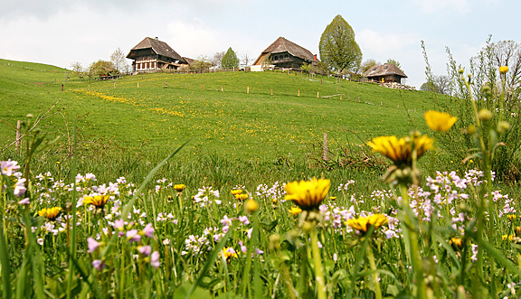 seinundwerden Eindrücke Emmental im Frühling