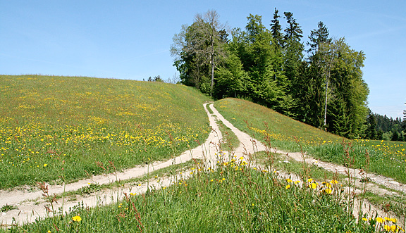 seinundwerden Eindrücke Emmental im Frühling