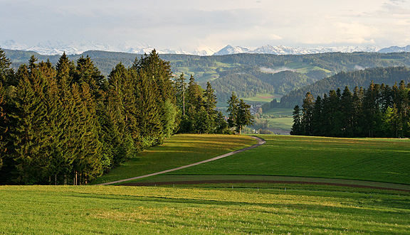 seinundwerden Eindrücke Emmental im Frühling