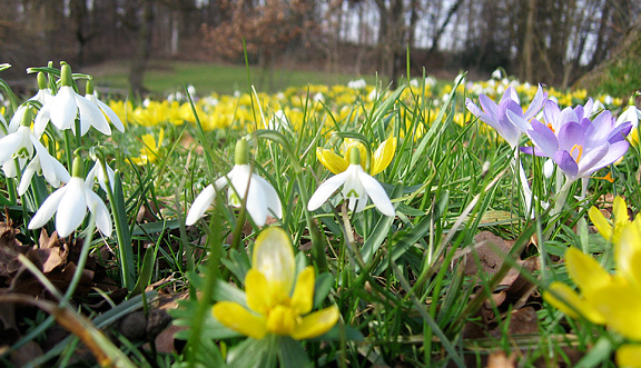 seinundwerden Eindrücke Frühling