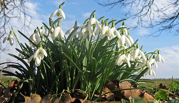 seinundwerden Eindrücke Frühling