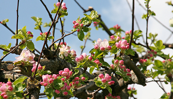 seinundwerden Eindrücke Frühling