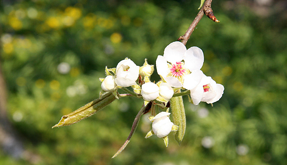 seinundwerden Eindrücke Frühling