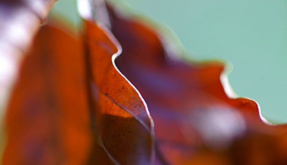 seinundwerden Eindrücke Jura im Frühling