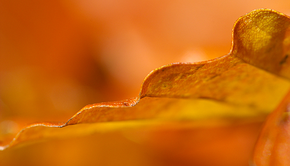 seinundwerden Eindrücke Jura im Frühling