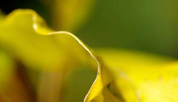 seinundwerden Eindrücke Jura im Frühling