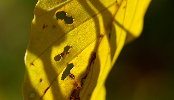 seinundwerden Eindrücke Jura im Frühling
