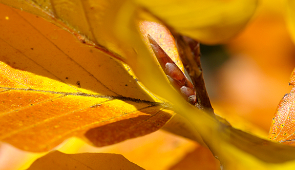 seinundwerden Eindrücke Jura im Frühling