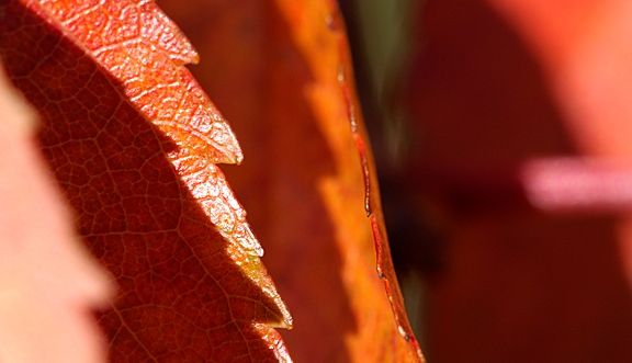 seinundwerden Eindrücke Jura im Frühling