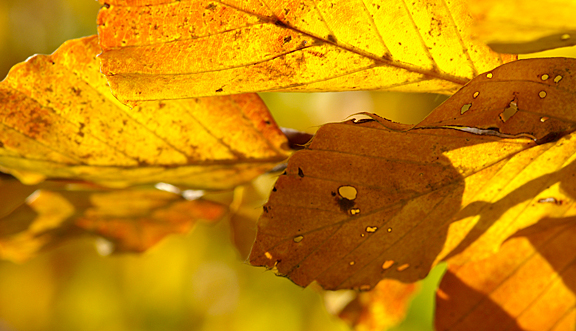 seinundwerden Eindrücke Jura im Frühling