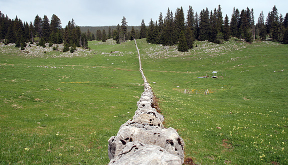 seinundwerden Eindrücke Jura im Frühling