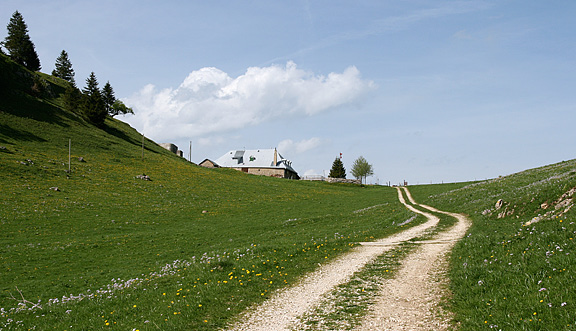 seinundwerden Eindrücke Jura im Frühling