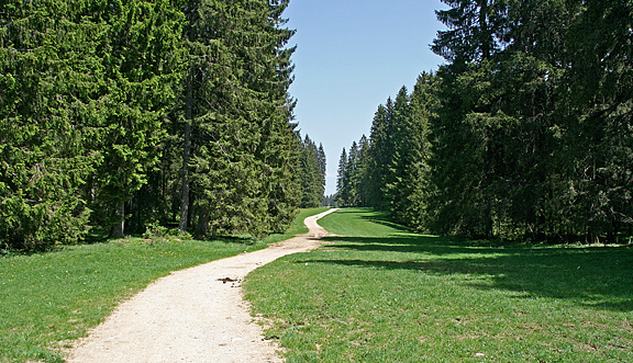 seinundwerden Eindrücke Jura im Frühling