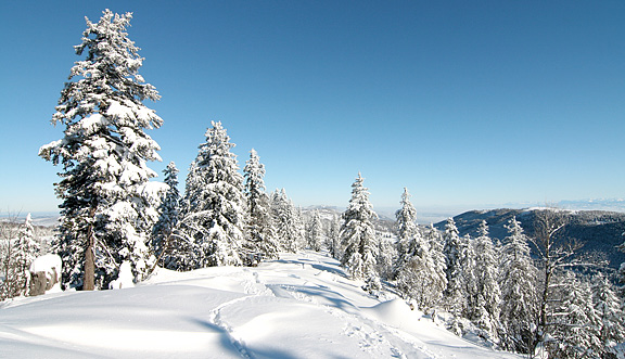 seinundwerden Eindrücke Jura im Winter