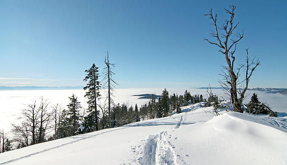seinundwerden Eindrücke Jura im Winter