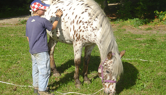 seinundwerden Eindrücke unterwegs mit dem Pferd