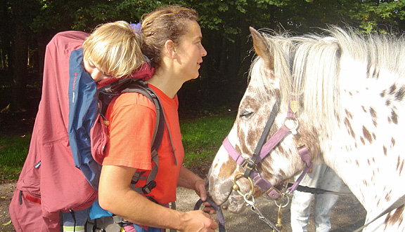 seinundwerden Eindrücke unterwegs mit dem Pferd