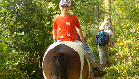 seinundwerden Eindrücke unterwegs mit dem Pferd