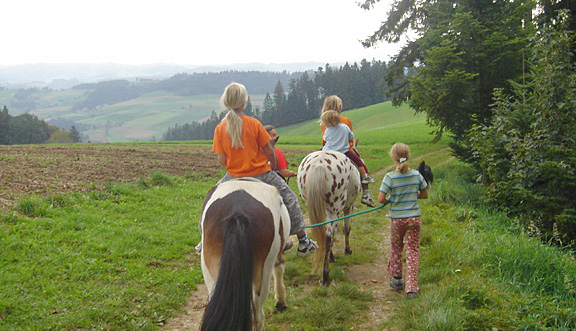 seinundwerden Eindrücke unterwegs mit dem Pferd