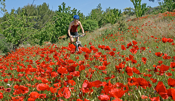 seinundwerden Eindrücke unterwegs mit dem Velo