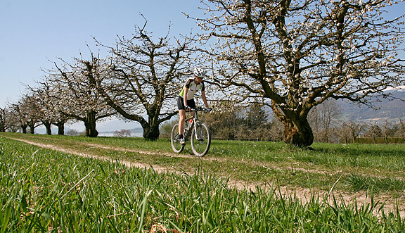 seinundwerden Eindrücke unterwegs mit dem Velo