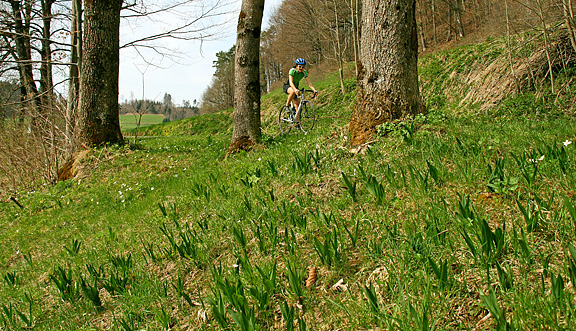 seinundwerden Eindrücke unterwegs mit dem Velo
