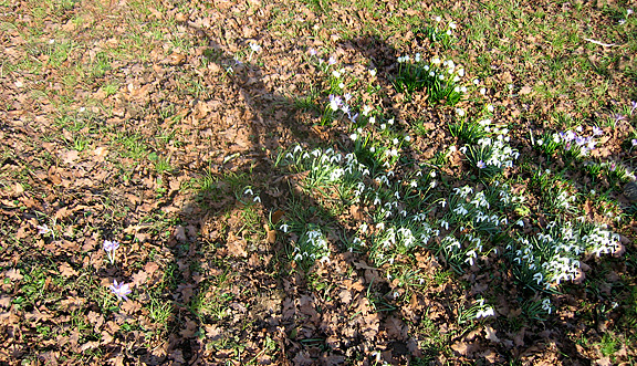 seinundwerden Eindrücke unterwegs mit dem Velo